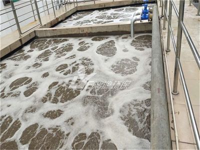 新建水产品加工厂污水处理设施策划指南 达标才是硬道理